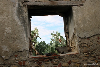 Fondaco Cuba